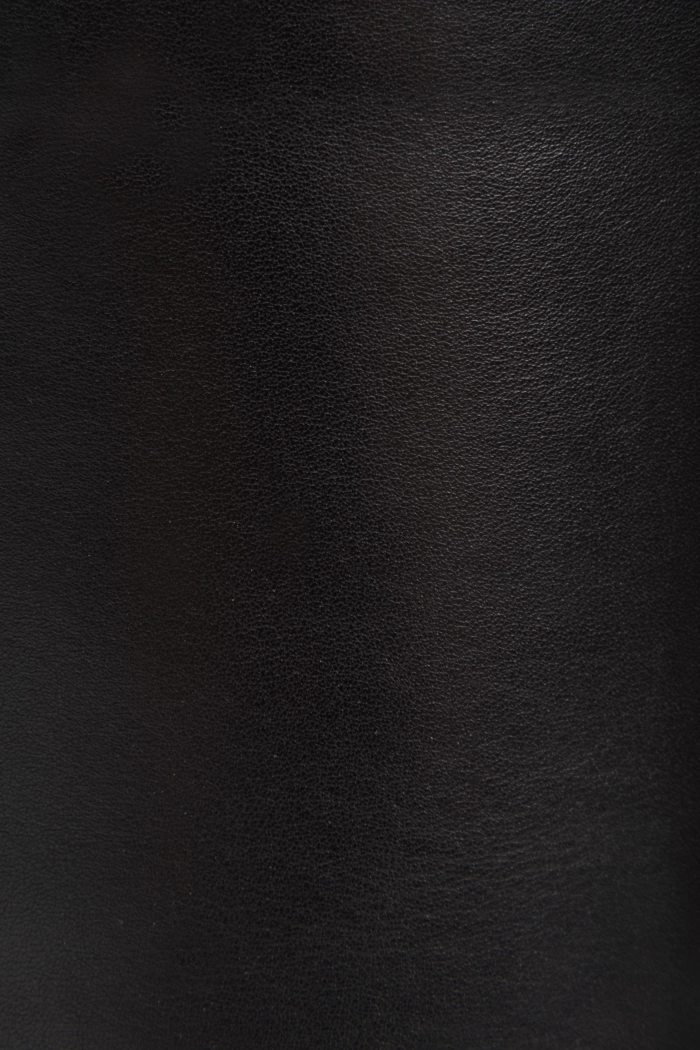 Paige Tall Riding - Frye Found - Image 5
