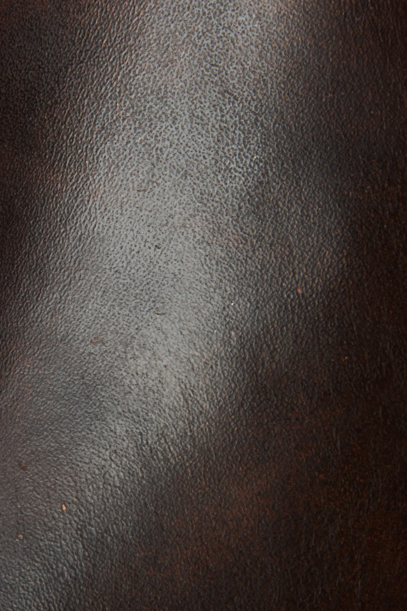 Paul Chelsea - Frye Found - Image 5