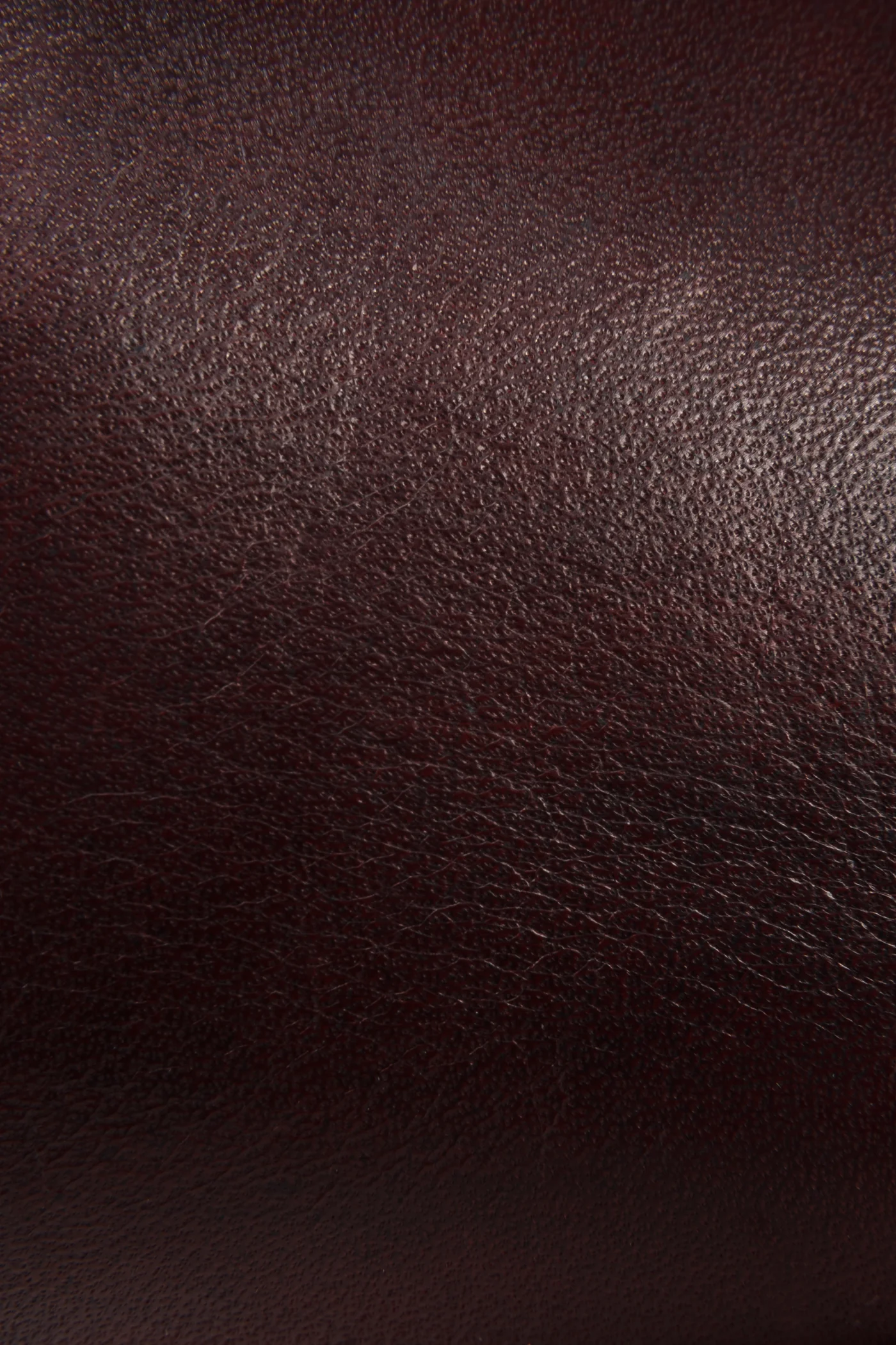 Phillip Riding - Frye Found - Image 3