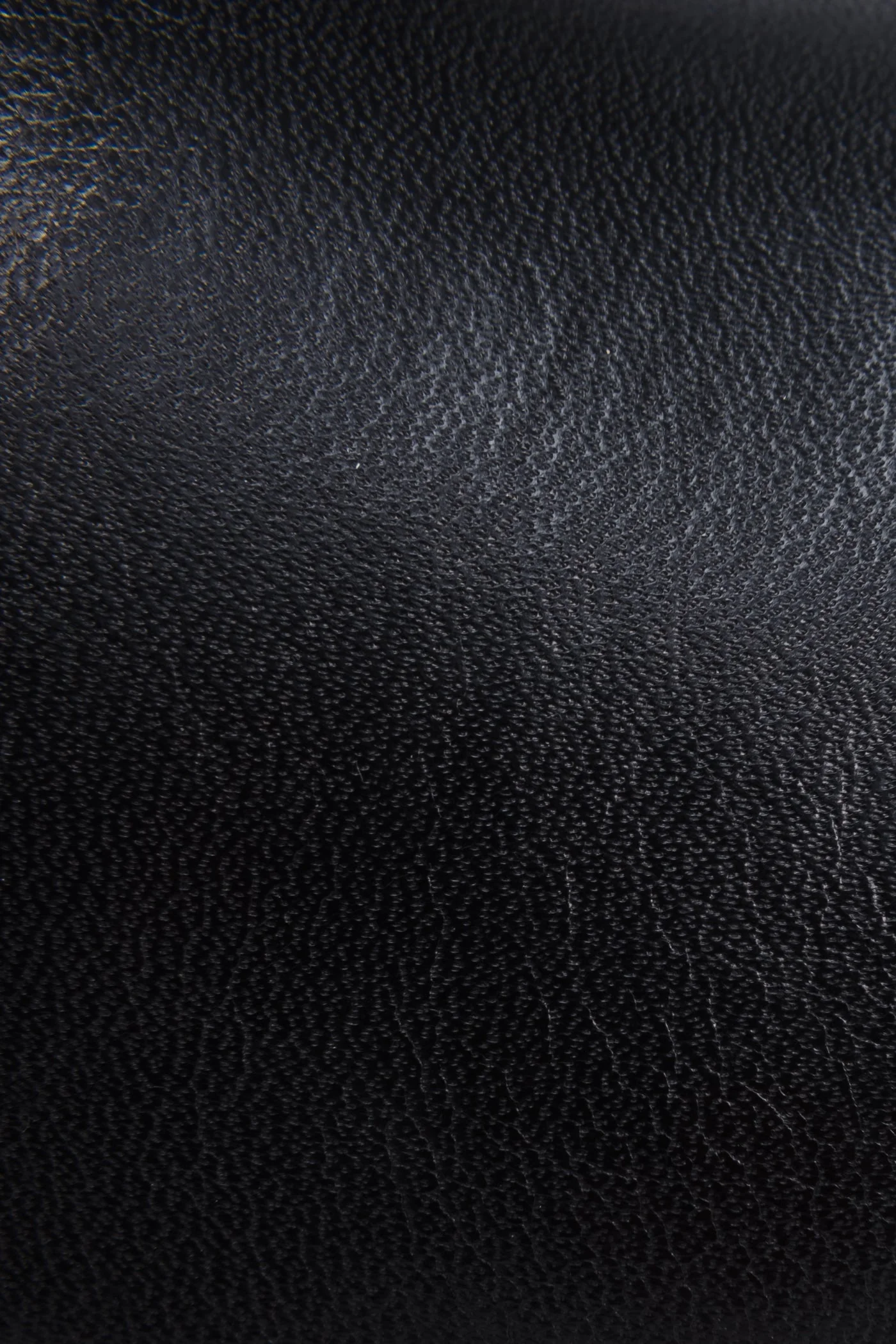 Phillip Riding - Pre-Loved - Image 5