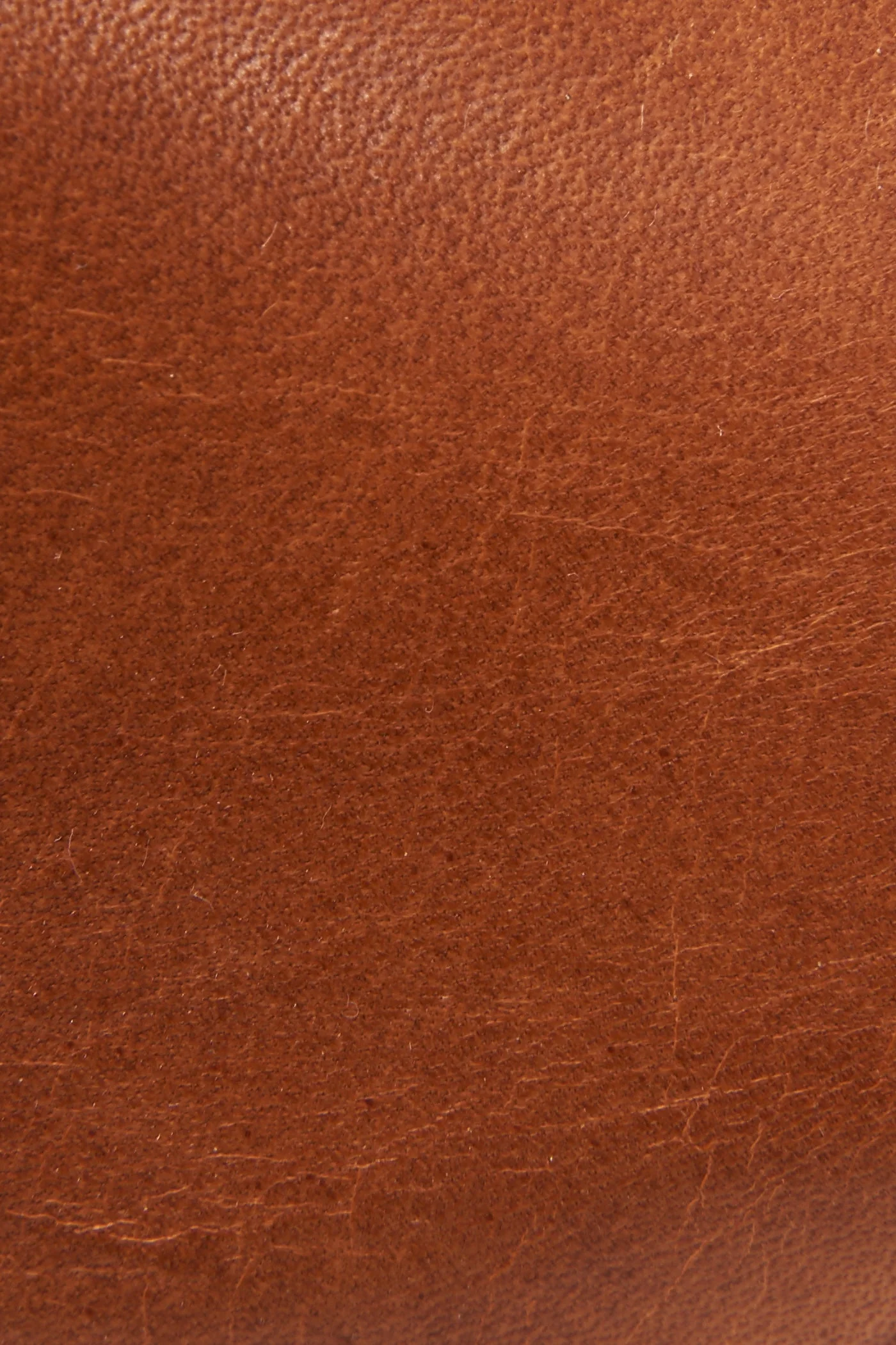 Ray Harness Back Zip - Frye Found - Image 6