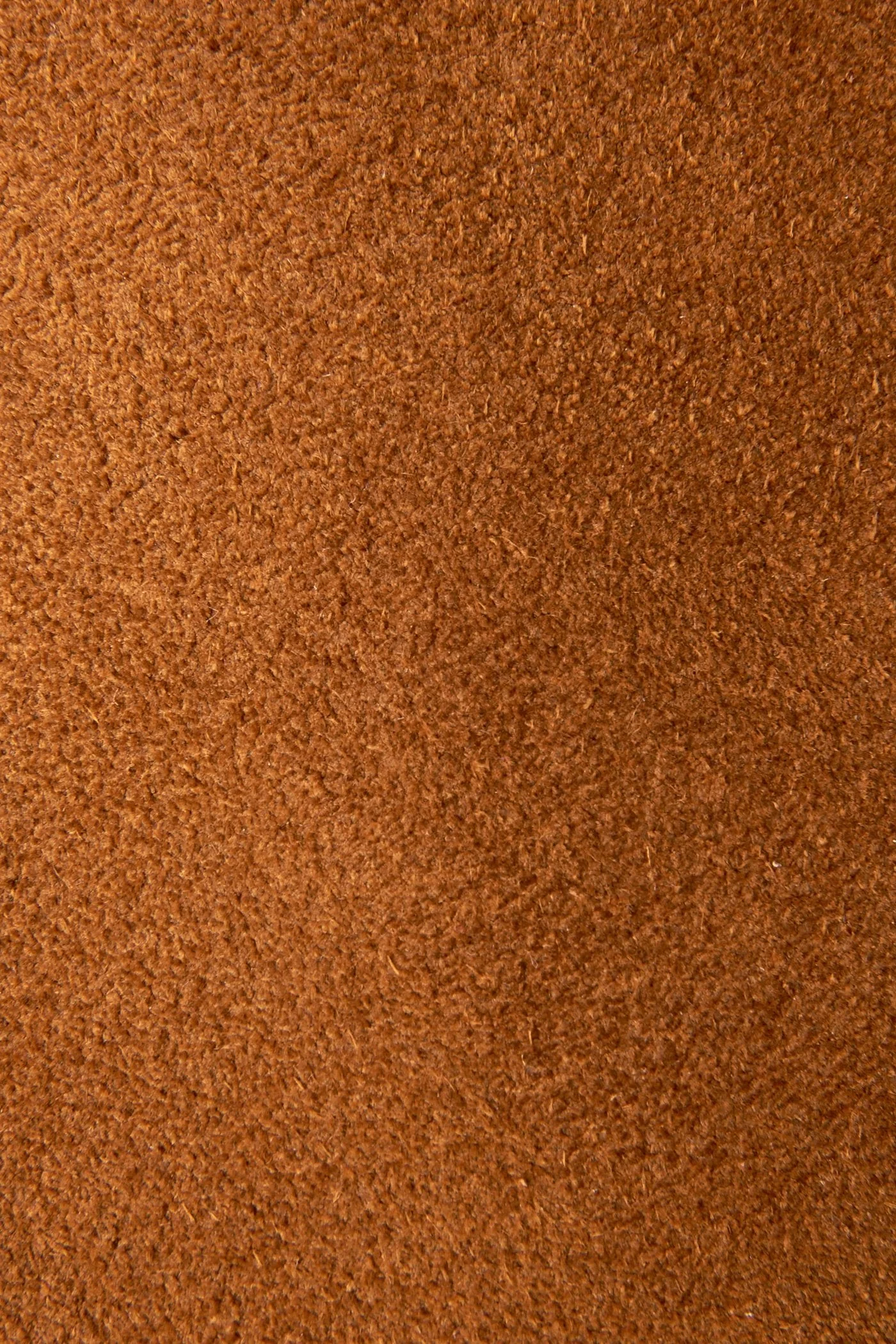 Ray Harness Back Zip - Frye Found - Image 5