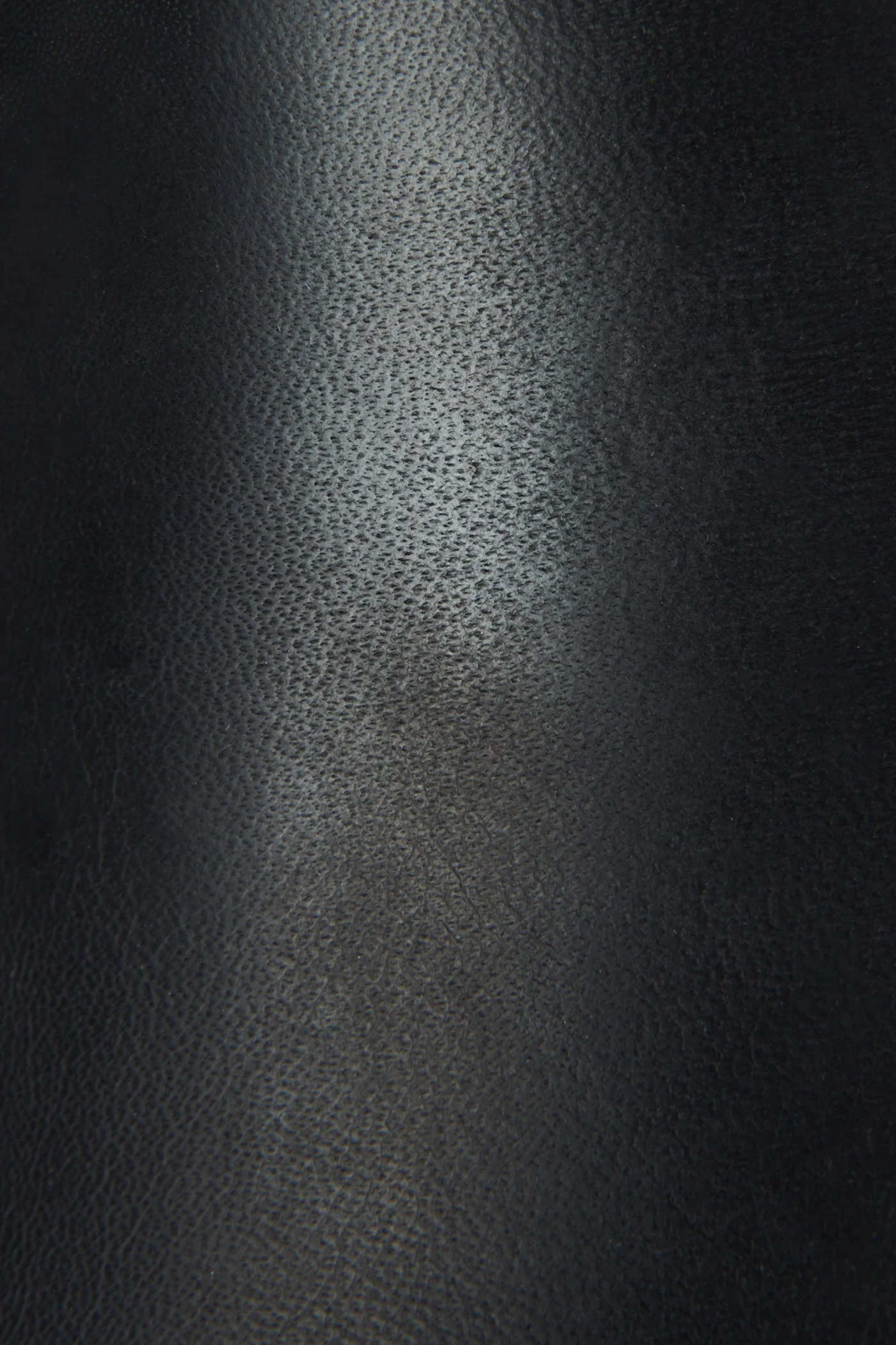 Ray Mule - Frye Found - Image 5