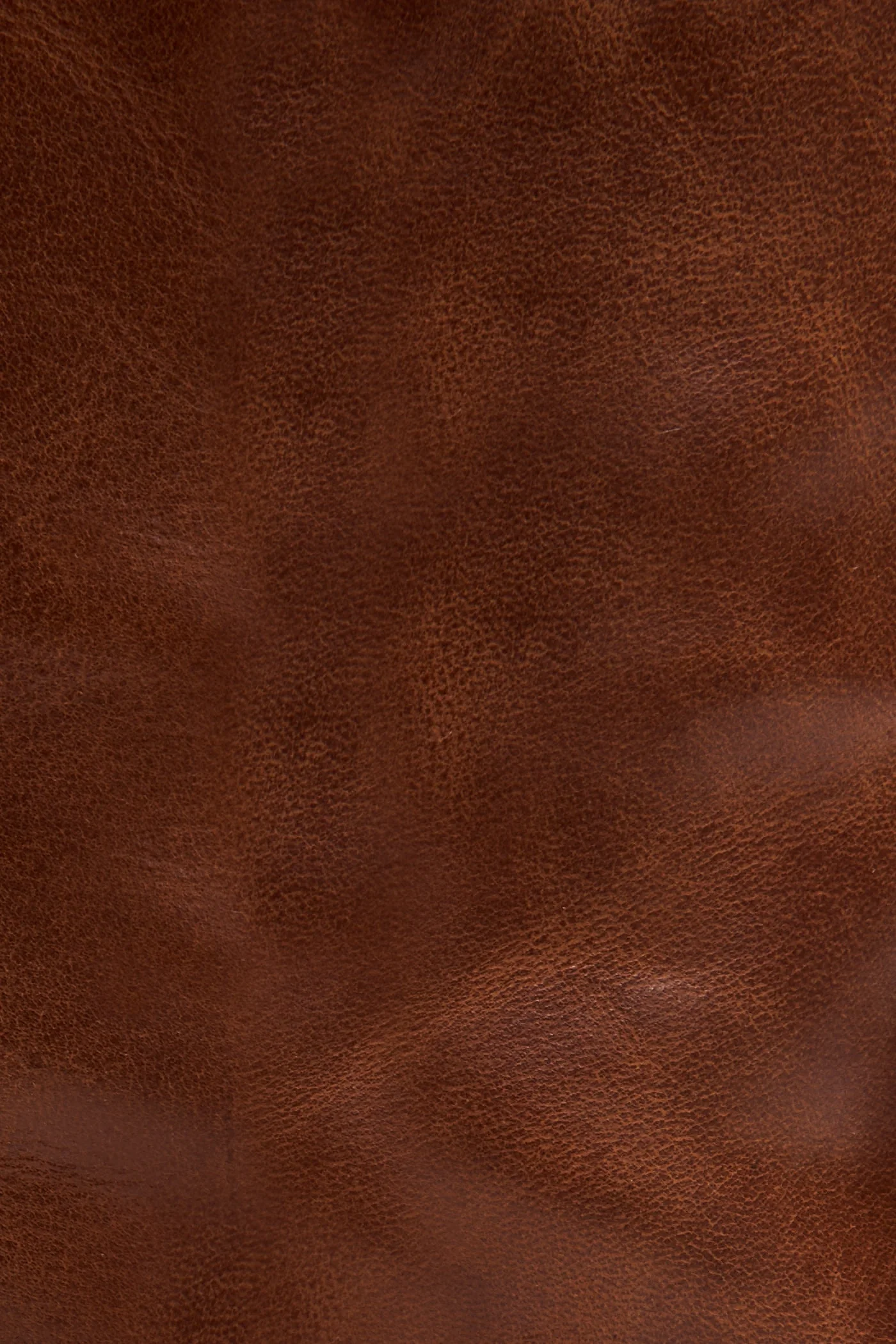 Ray OTK - Frye Found - Image 5