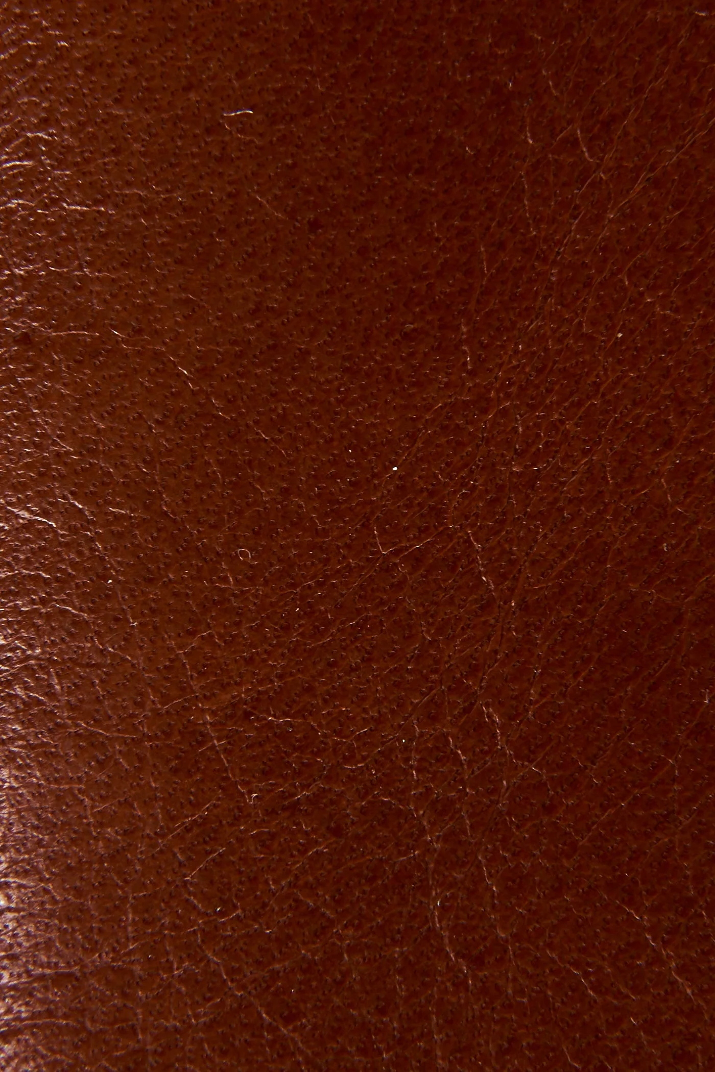 Remy Chelsea - Pre-Loved - Image 5
