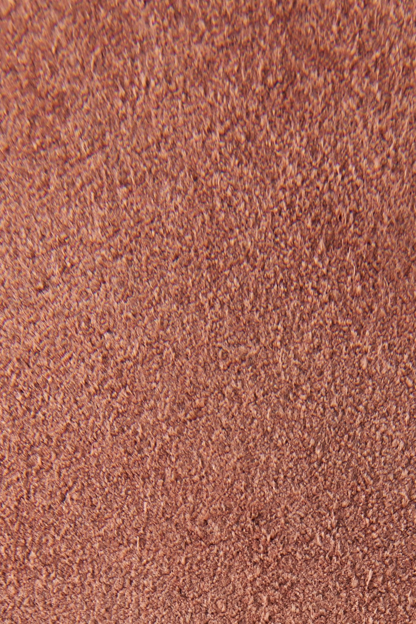 Rosalia Mule - Frye Found - Image 5