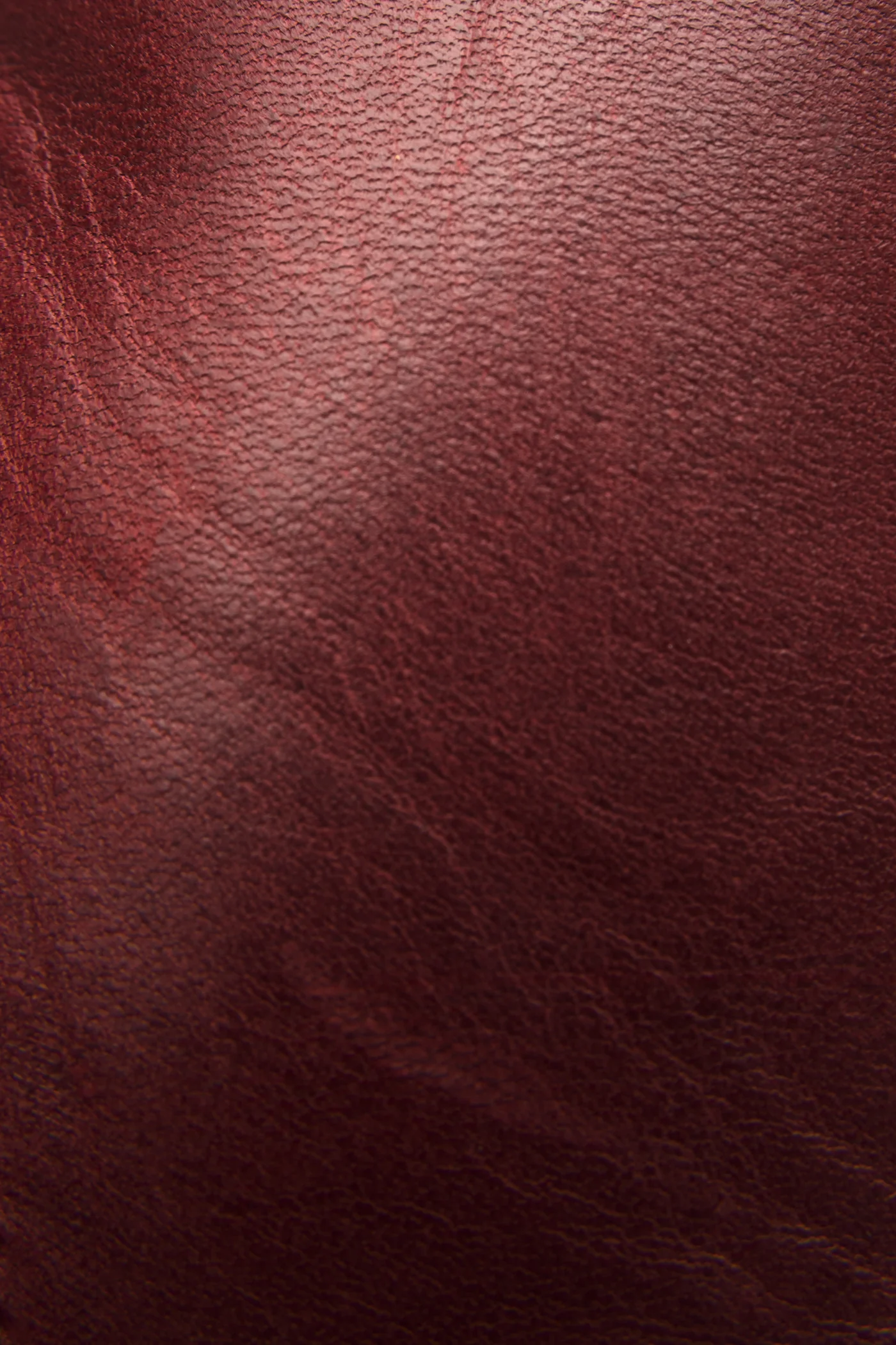Sabrina 6G Lace Up - Frye Found - Image 5