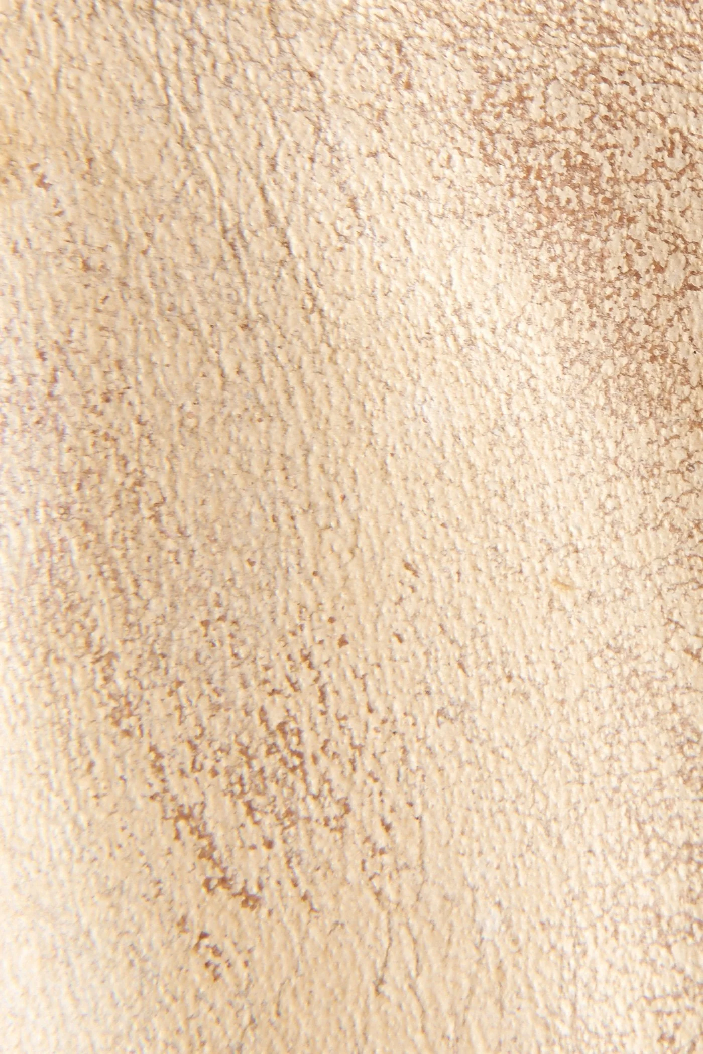 Sacha Chelsea - Frye Found - Image 5