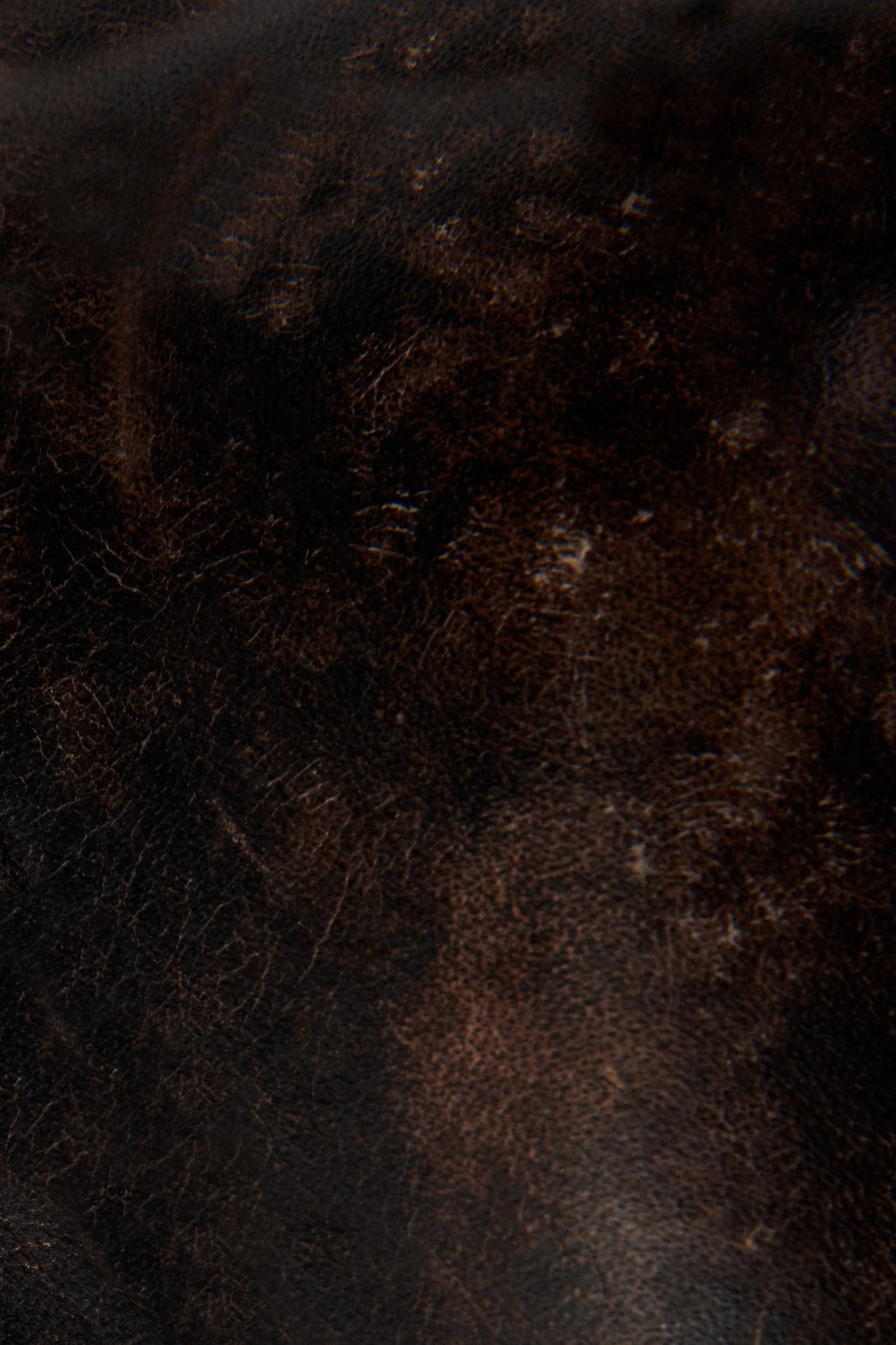 Sacha Moto Short - Frye Found - Image 5
