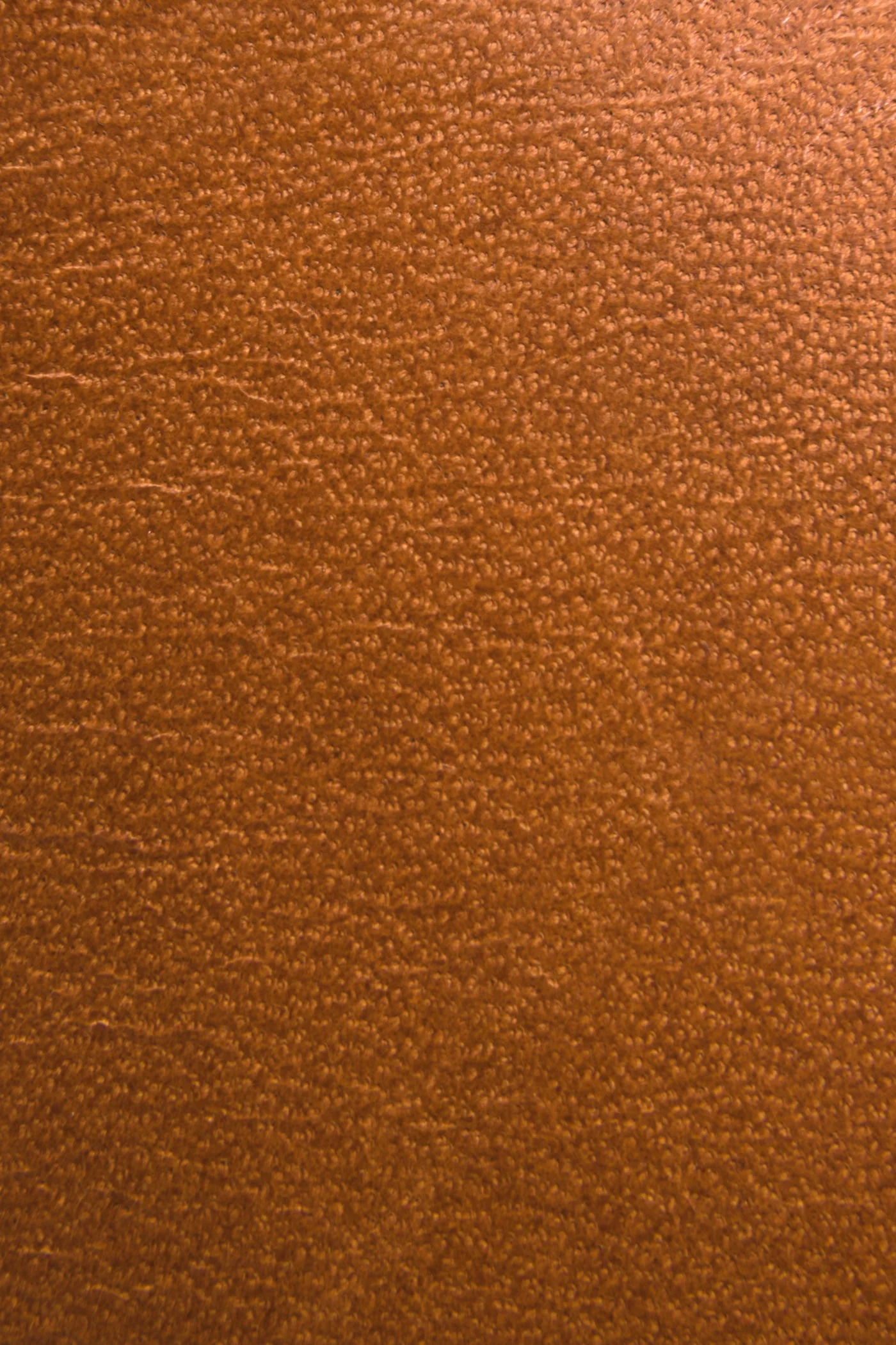 Tanner Low Lace - Frye Found - Image 5