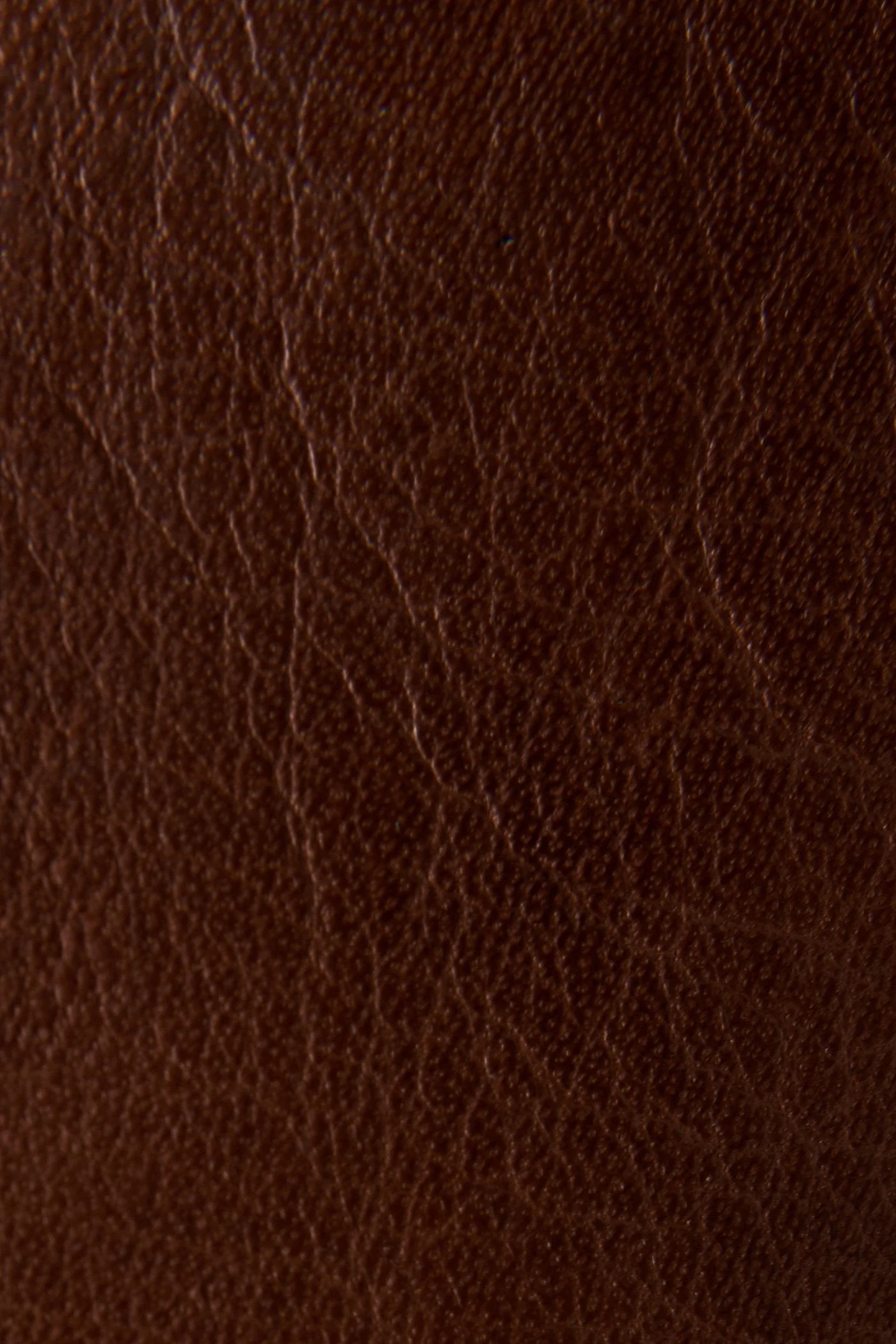 Tyler Chelsea - Pre-Loved - Image 5