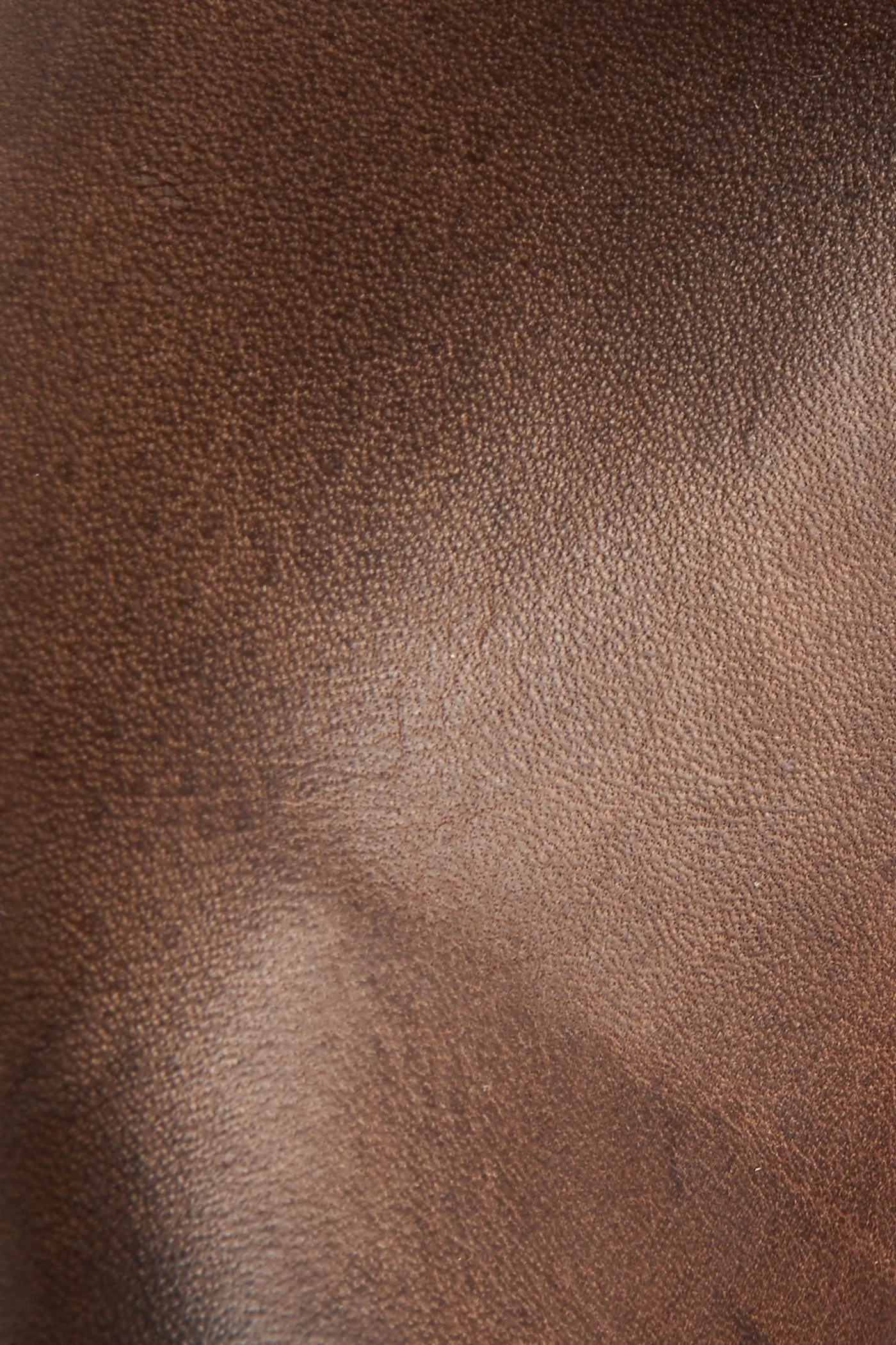 Veronica Short - Frye Found - Image 6