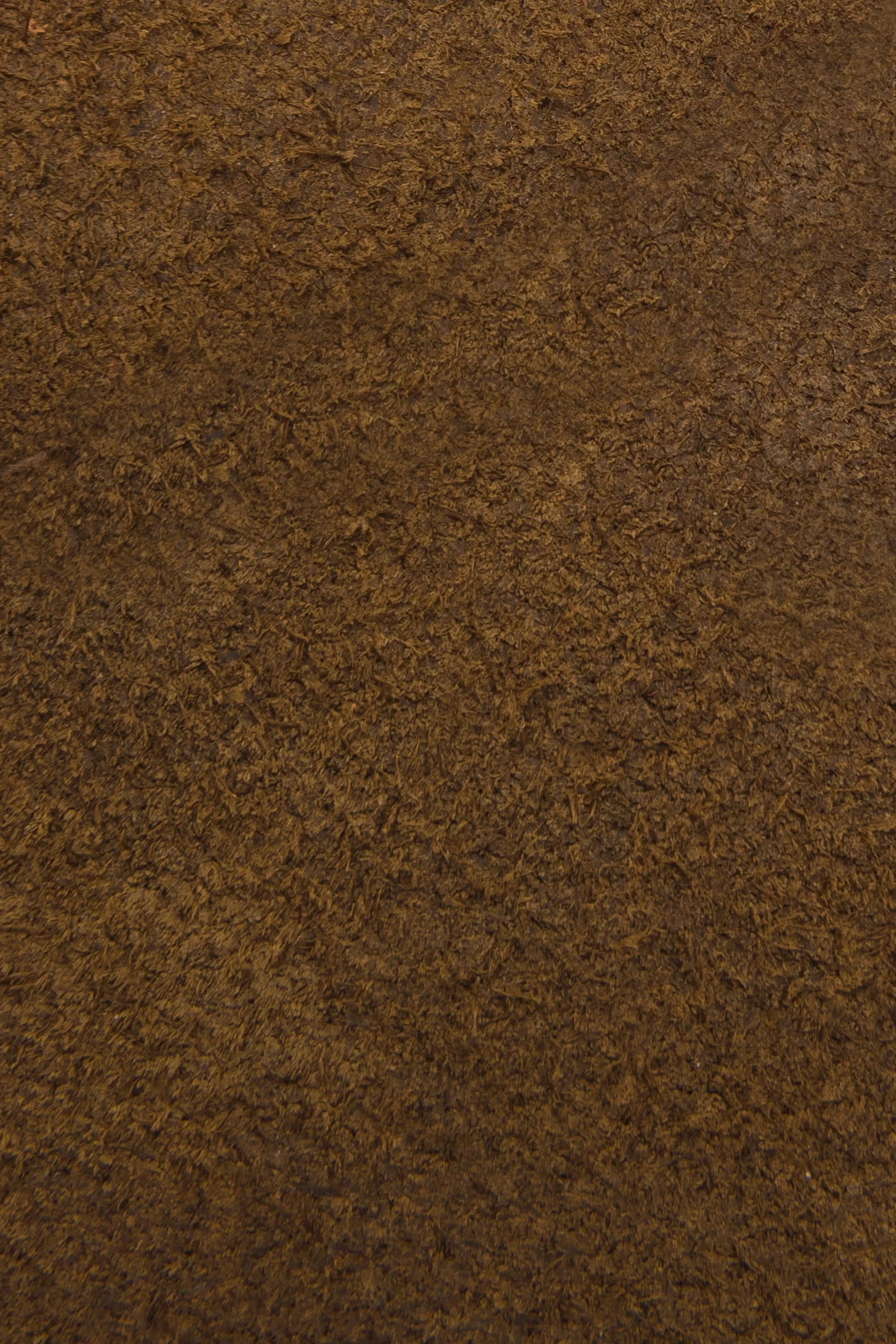 Walker Low Lace - Frye Found - Image 5