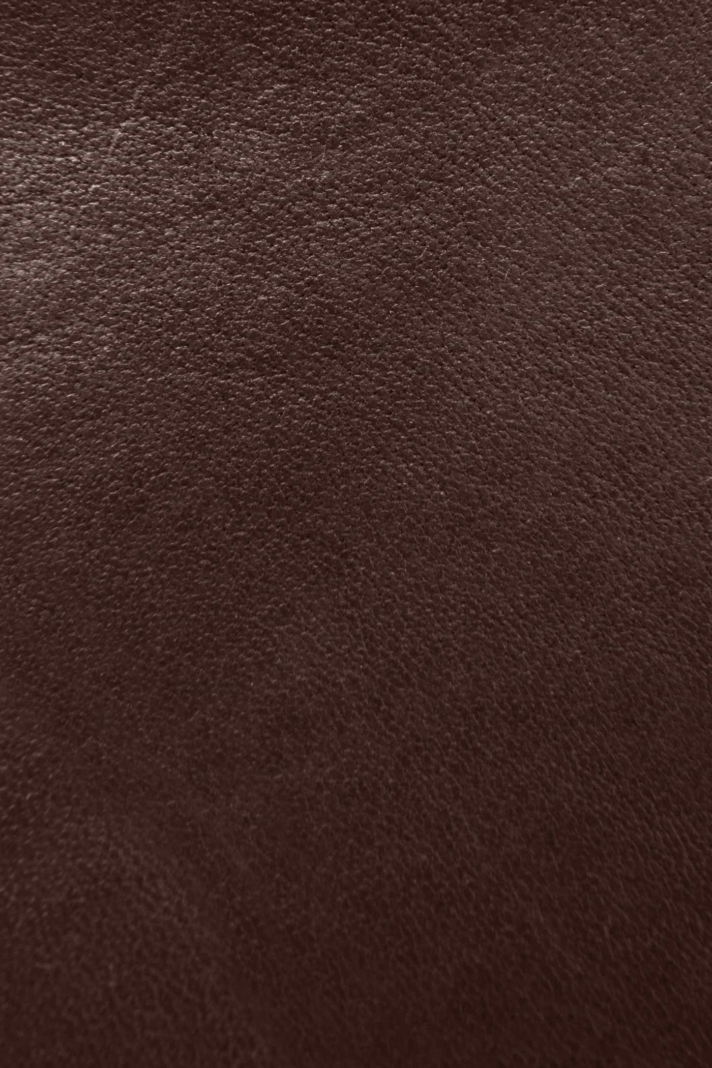 Walker Midlace - Frye Found - Image 6