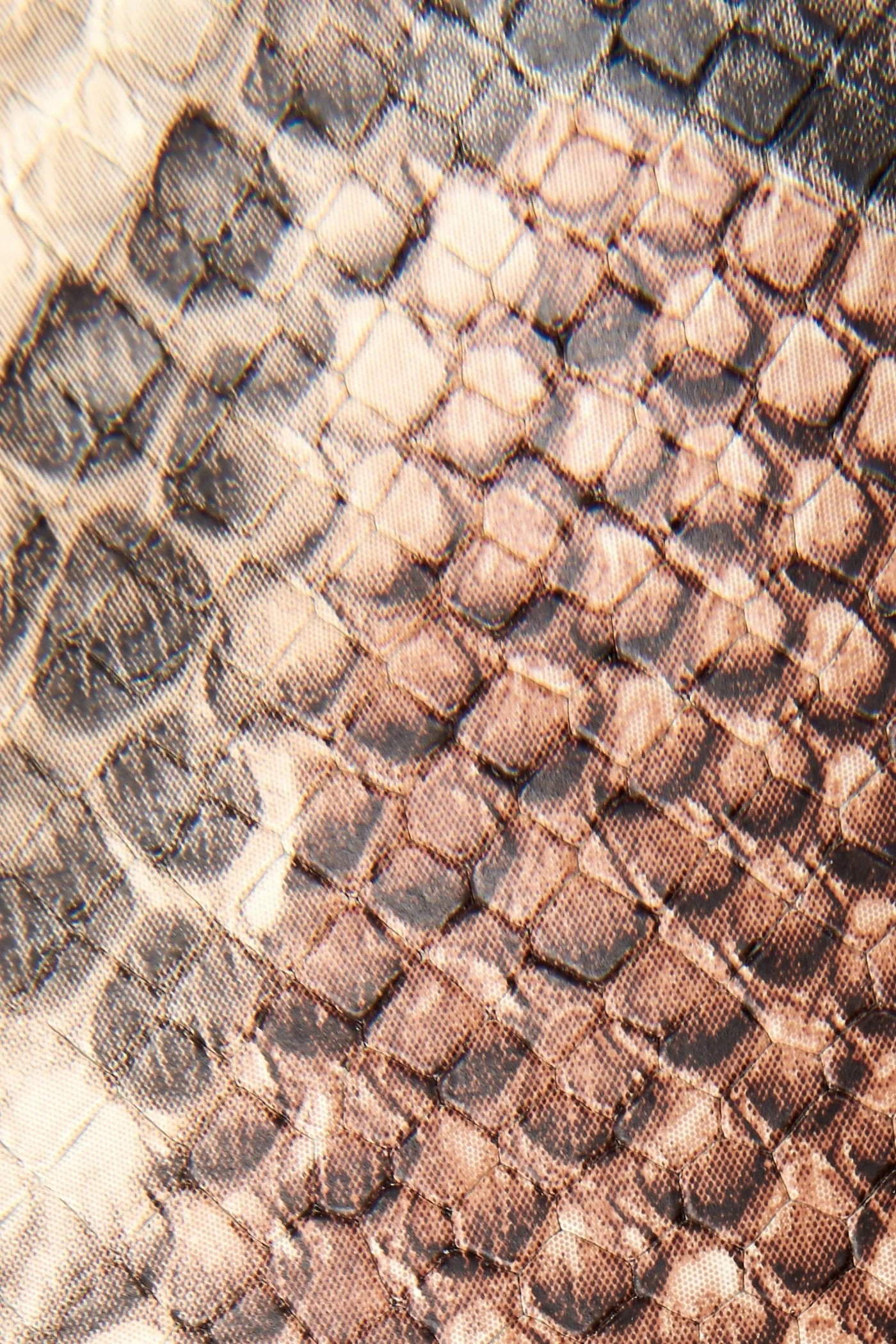 Webster Low Lace - Pre-Loved - Image 3