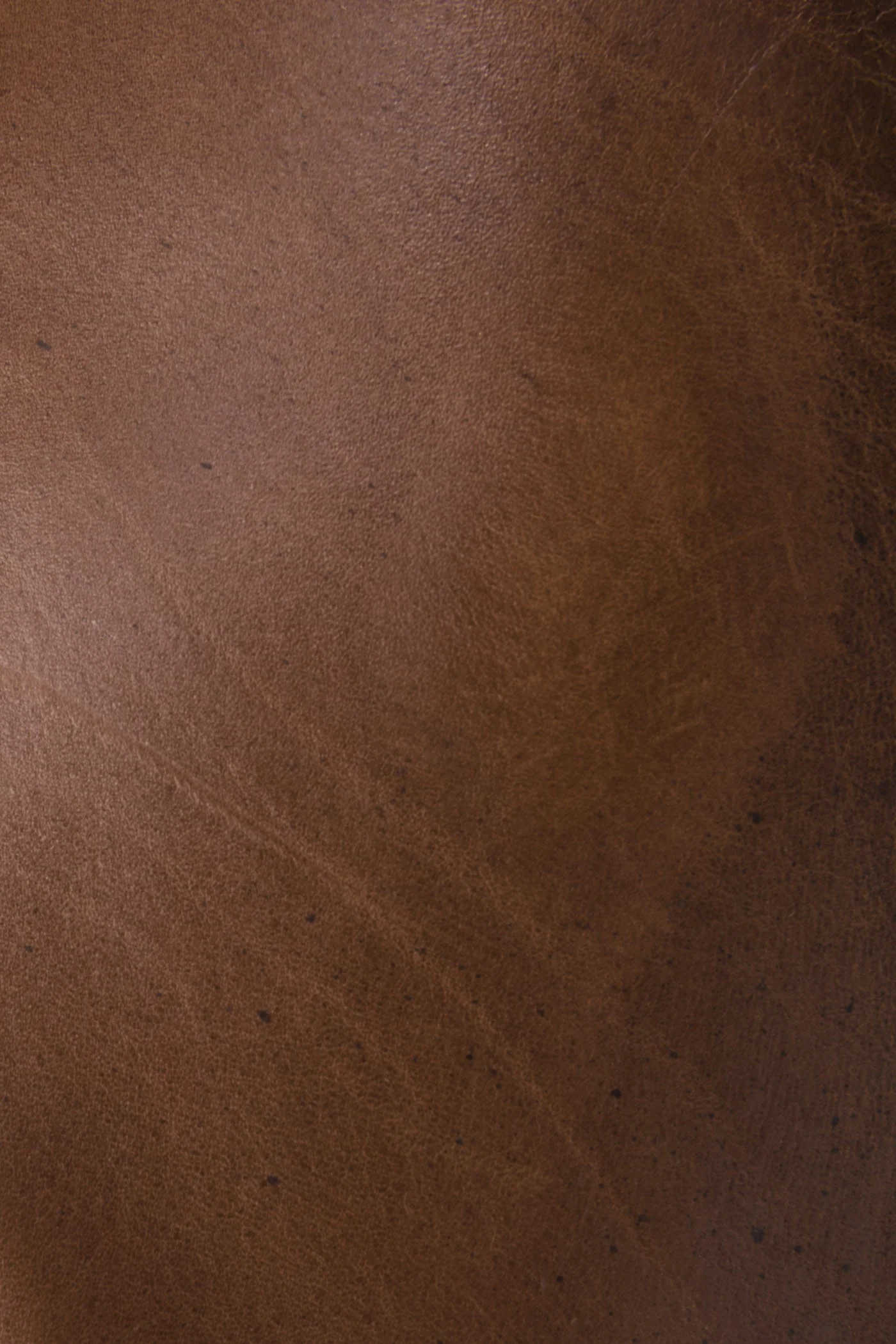 Weston Cross Strap - Frye Found - Image 6