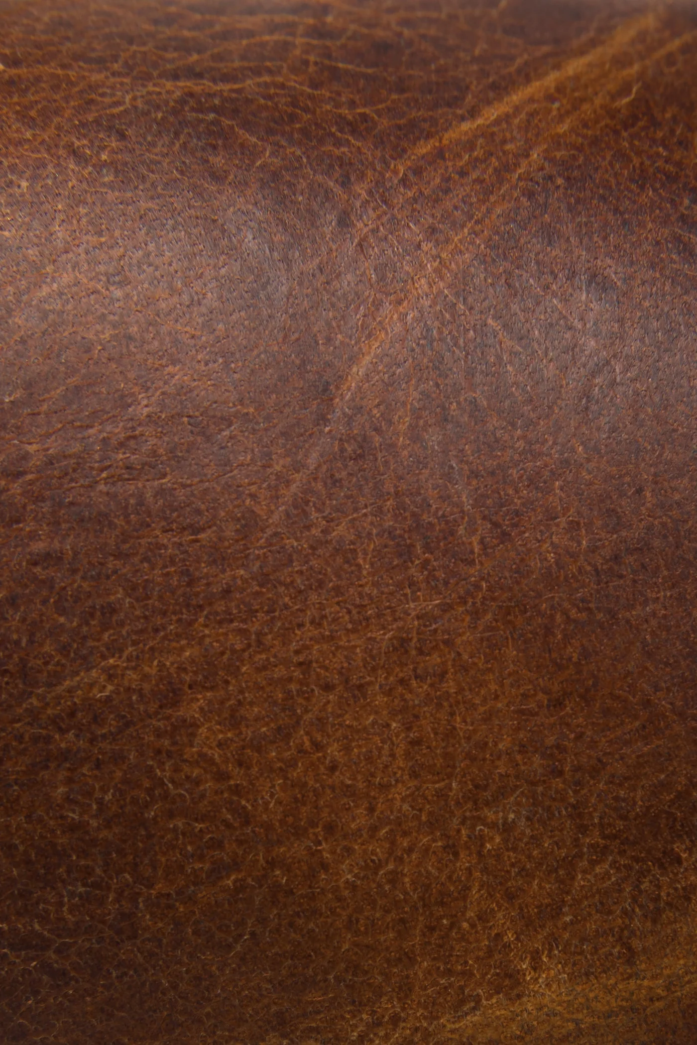 Wyatt Harness - Frye Found - Image 3